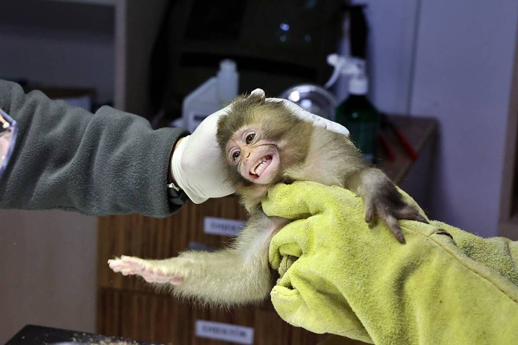 Otobüsle gönderilen koliyi kimse almayınca şoke eden gerçek ortaya çıktı! Hiç kimse bu kadar absürtlüğü tahmin edemezdi 7